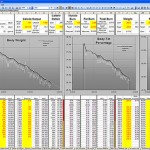 Calorie tracking spreadsheet